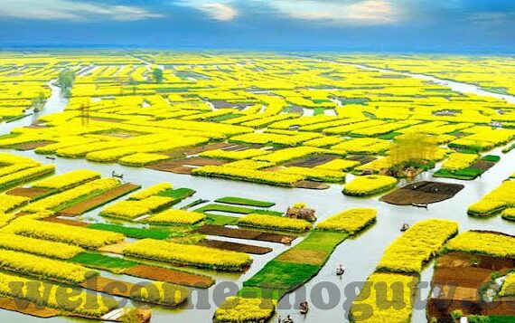 国产一区日韩二区欧美三区-多元文化视角下的影视内容，国产、日韩、欧美三区的特色与交融