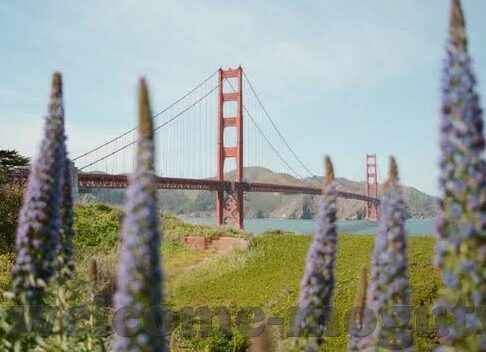 果冻传媒12部合集-探索果冻传媒12部合集的多元魅力与文化交融