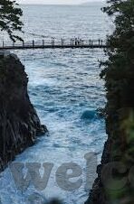 果冻 传媒-传媒新视角，果冻的奇妙旅程