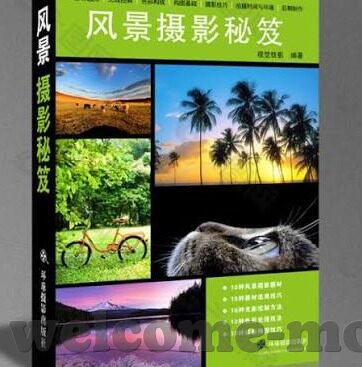 i91av麻豆-麻豆的闪耀，i91av与数字艺术新体验