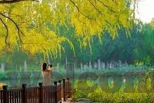 日韩欧美av视频-AV视频的全球视角，日韩欧美文化的交融与差异
