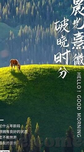 糖心app不能下了吗-解析糖心app的当前状况，是何缘由使其难以下载？