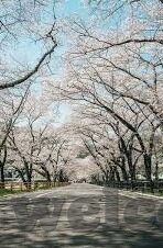 糖心app下载安卓版18-安卓版糖心APP的享用指南，探索智能生活的乐趣与安全边界