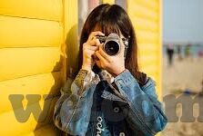 www.麻豆av.com.-麻豆AV，网络生态中智慧与创意的交汇