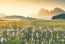 亚洲Av综合日韩-亚洲AV综合日韩，文化、艺术与市场视角的深度剖析