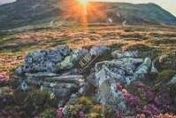 中文字幕在线不卡一区二区三区-探索中文在线观影新境界，一区、二区、三区的流畅体验